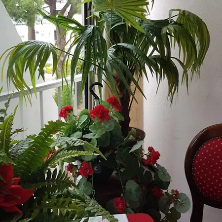 Plein Centre A 300 M De La La Grande Motte