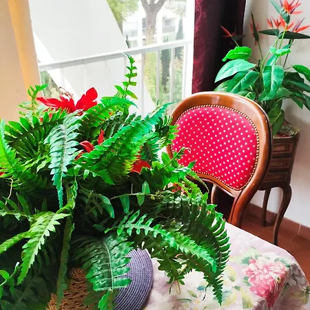 Lägenhet Plein Centre A 300 M De La La Grande Motte