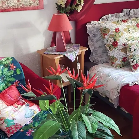 Plein Centre A 300 M De La Lägenhet La Grande Motte